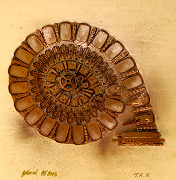 Technical Ammonite III.jpg